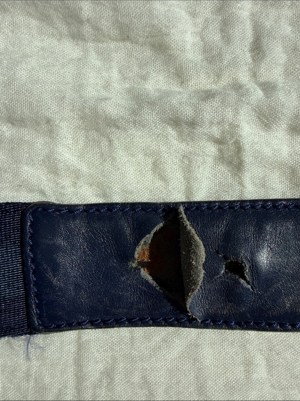 Gucci Navy Web Belt with Silver Double G Buckle - Picture 5 of 12